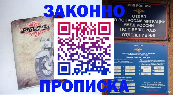 прописка для школы в Волчанске